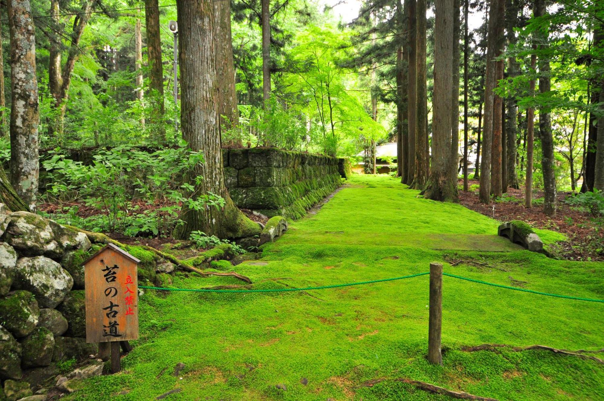 Hotel Yamabuki Komagane Dış mekan fotoğraf