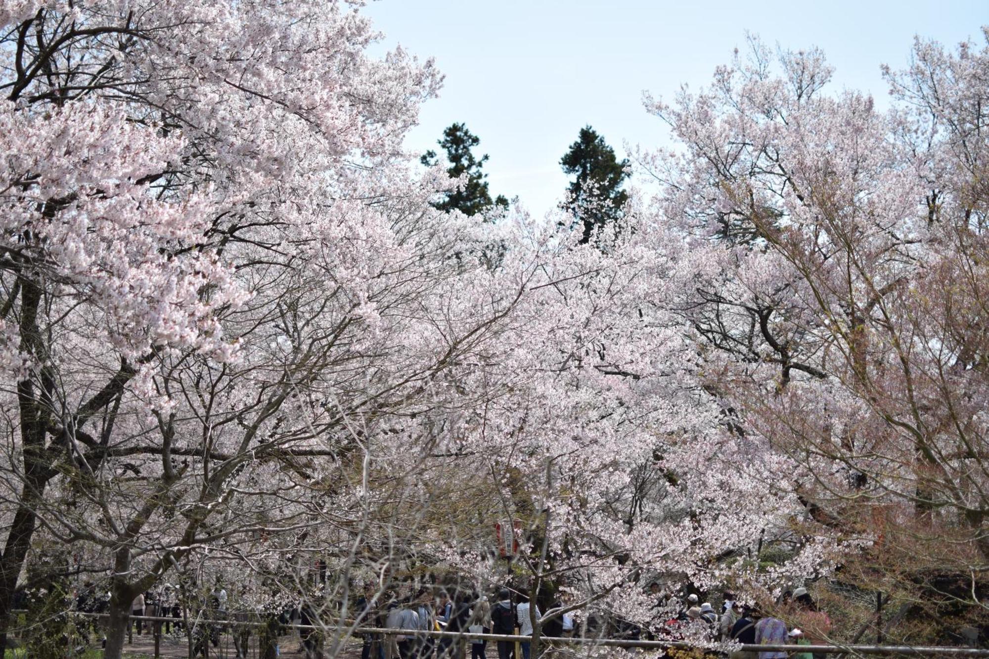 Hotel Yamabuki Komagane Dış mekan fotoğraf