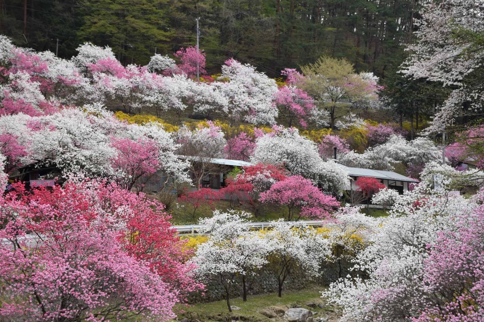 Hotel Yamabuki Komagane Dış mekan fotoğraf